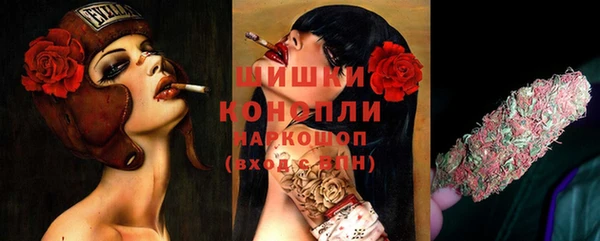 сатива Арсеньев