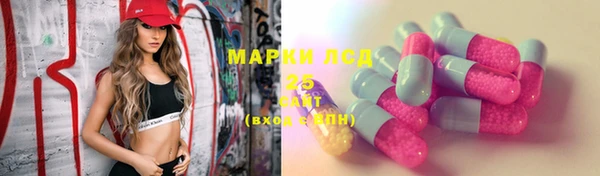 сатива Арсеньев