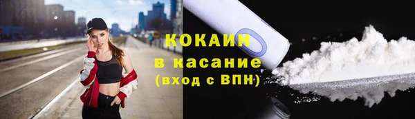 сатива Арсеньев