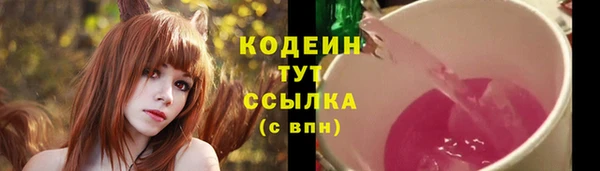 сатива Арсеньев