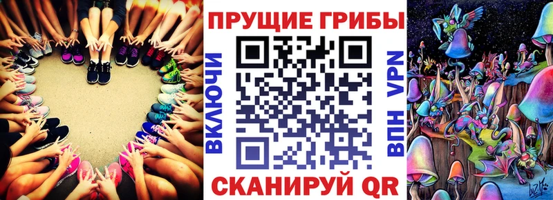 Галлюциногенные грибы Magic Shrooms  наркошоп  Рославль 